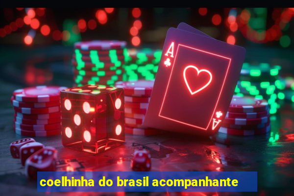 coelhinha do brasil acompanhante